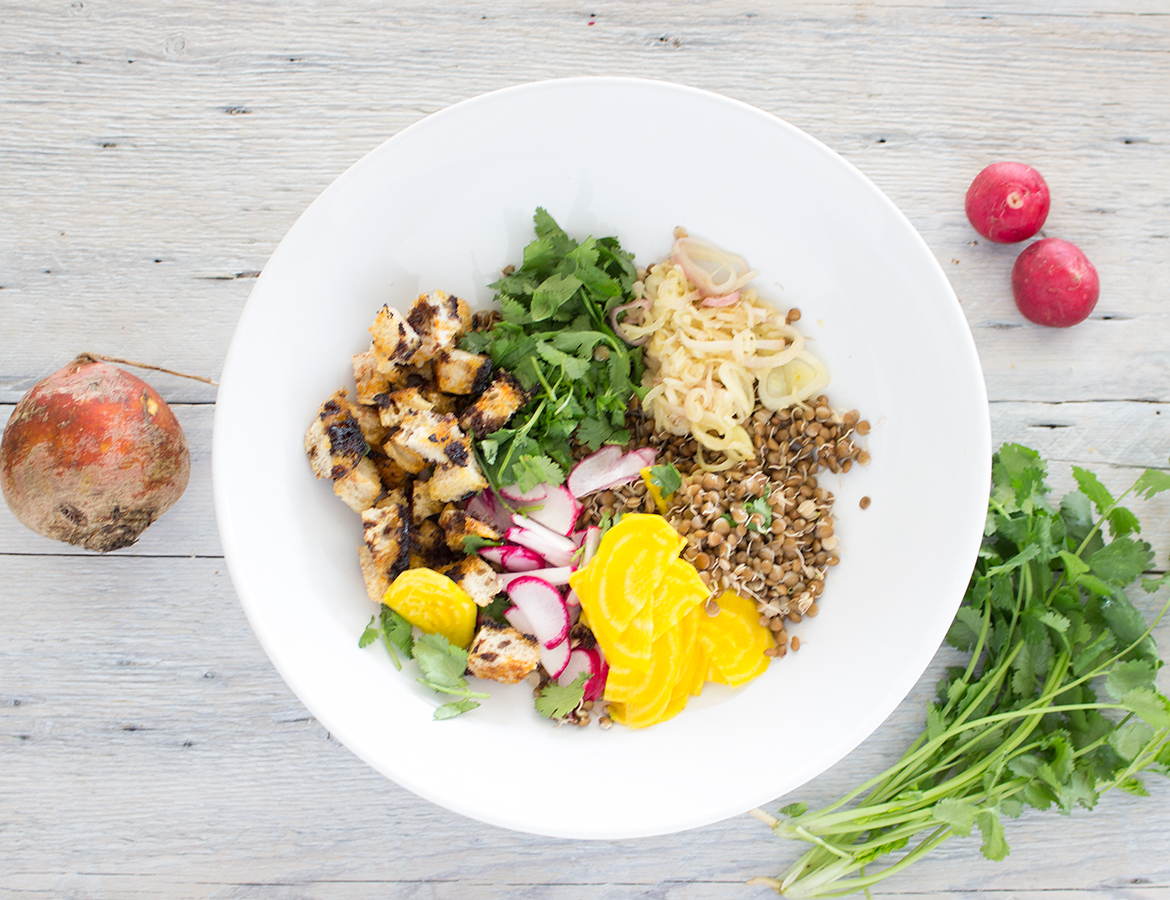 Sprouted lentil and yellow beet salad with Balsamumm croutons