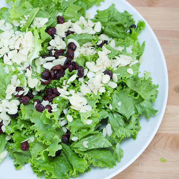 Green salad with cranberry and sliced almond and oil free dressing